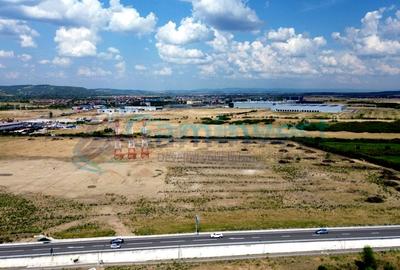 Teren intravilan de vanzare in Oradea, 9965 mp, Bihor - 2