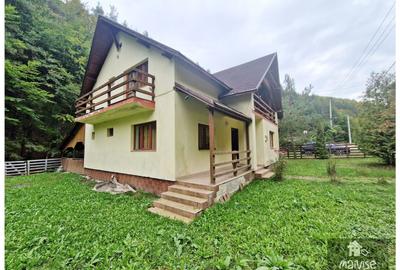 Casa de vacanta, Valea Bozom-Apata - 17