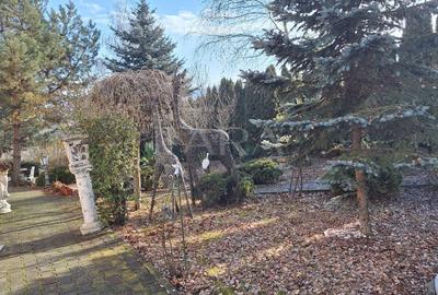 Casa Elegantă în Borhanci - 16