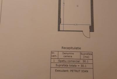 Unirii-Bdv Regina Maria-suprafata 30 mp-pret 1000 euro - 8