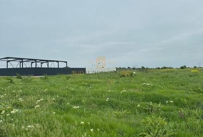 Lot de teren in Frumusani, Ilfov, 590 mp, posibilitate rate - 10