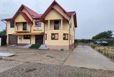Spatiu comercial Baicoi - 5