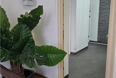 Vila Interbelica 738mp– Str. Matei Basarab, Bucuresti - 12