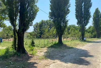 Teren construcții 3 loturi Intrarea Serelor/ Iuliu Hațeganu - 1