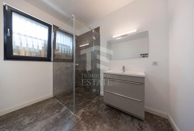 Sanpetru ,Subcetate-Casa 4 camere,3 bai+480 mp teren - 12