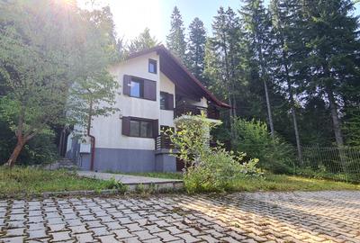 Vila Predeal New 2025 - 1