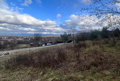 Teren Intravilan 495 mp – Zonă Liniștită Strada Livezii - 1