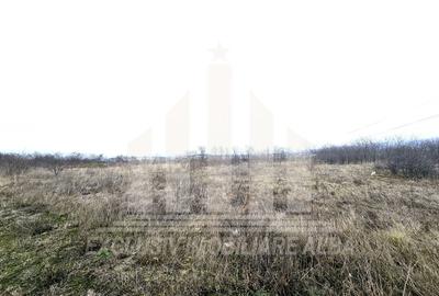 Teren extravilan | 6000 mp | 150 ml deschidere | Alba-Lancram - 2