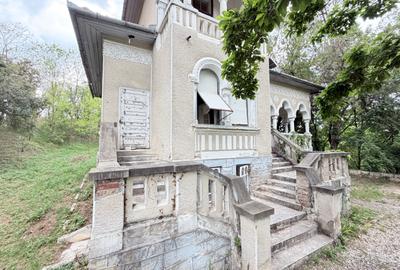 COMISION 0% | Casa cu istorie si teren 10.000 mp - 4