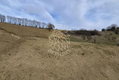 Oferta teren 500 mp - pretabil casa de vacanta- 5 min de centru ! - 1