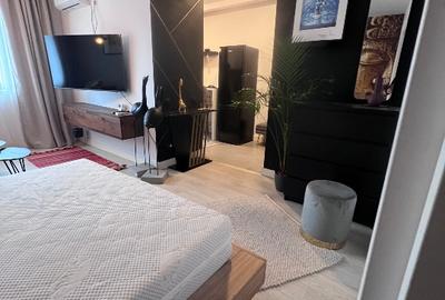 Studio dublu Aviatiei 10 min metrou Aviatiei , Promenada Mall sec 1 - 15