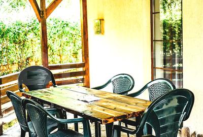 Oportunitate de investiție în Bran – Vilă ideală pentru închiriere sau locuință - 3