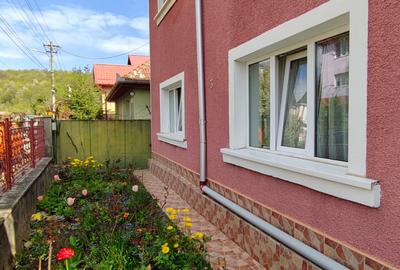 Proprietate cu 3 corpuri in zona Gradina Zoo - Parc Noua - 1
