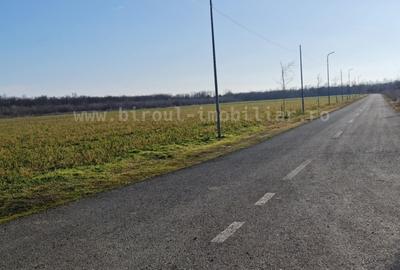 Vânzare Teren pentru Dezvoltare Turistică Stațiunea Neptun 1600mp - 5