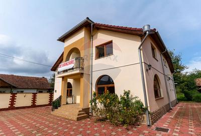 Vila  6 camere in Cristur, jud Hunedoara - 37