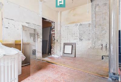 Casă + afacere activă | Venit 1100€/lună - 17