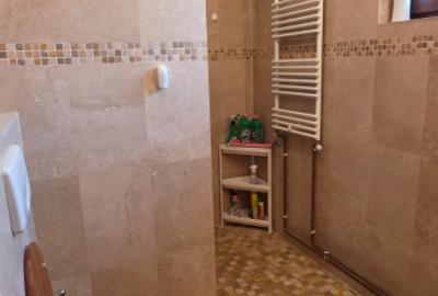 Casa / Curte/ Unirii/ Centrala/ Parcare - 10