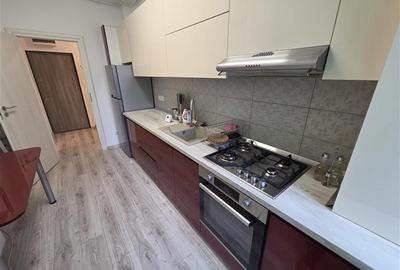 Apartament 2 camere spre inchiriere cu terasa Chitila Bucurestii Noi - 10
