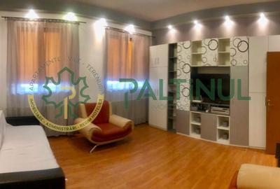 Apartament 1 camera de inchiriat Sibiu - 6