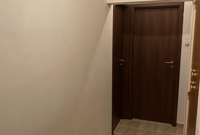 De vanzare apartament 3 camere Drumul Taberei - 7