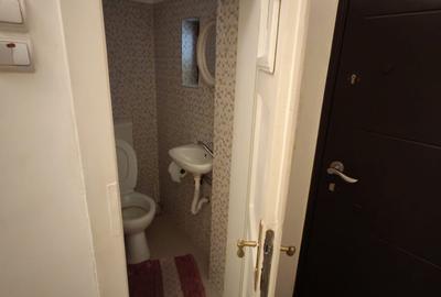 Apartament la casa cu gradina de 480 mp, Zona Semicentrala - 16