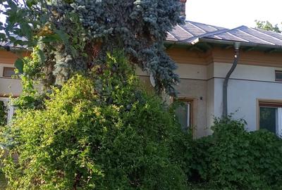 Casă individuală cu 5 camere în Bogați