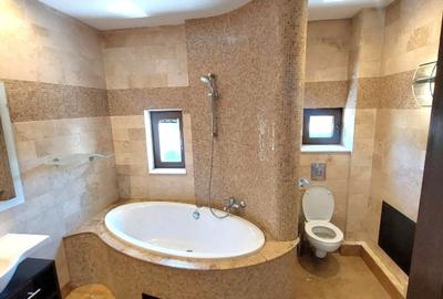 Apartament 5 camere Kiseleff - 9