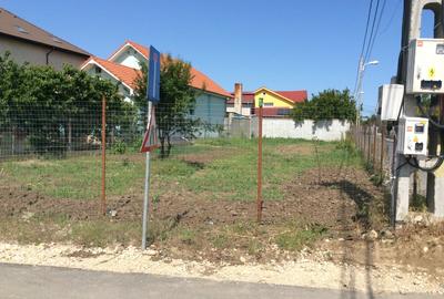 Teren + proiect Palazu Mare - Corneliu Baba - 5