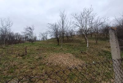 Casă renovabilă cu livadă 3000 mp | Utilități | Tibru, Alba - 4