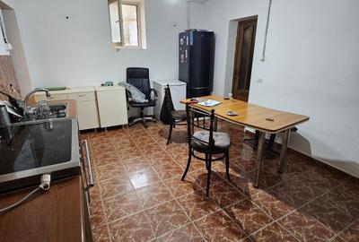 Giarmata Mare - Casa 4 Camere - Teren Generos - 2