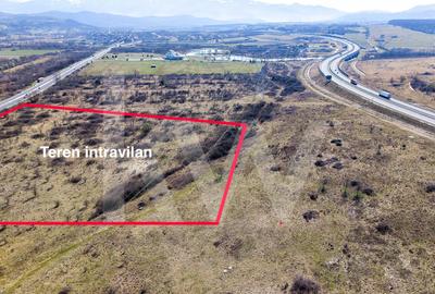 Oportunitate Premium: 6.900 mp Intravilan – Hub Logistic Șelimbăr (DN1/A1) - 4