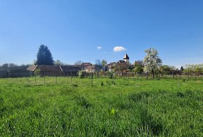 Casa de vanzare \ Hosman - Sibiu - 3