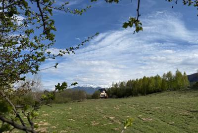 Teren intravilan 500 mp sau 1000 mp în Bran –Tohanita cu parau langa - 8