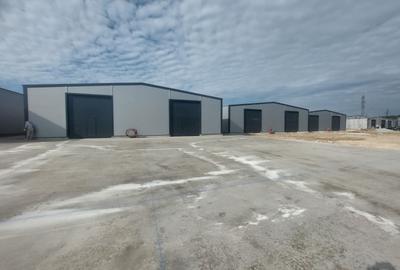 Spațiu industrial, de 580.00 mp, în Ovidiu