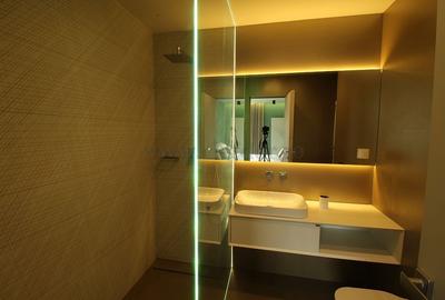 Iancu Nicolae-British School duplex  - 3 dormitoare - 16