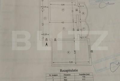 Apartament 3 camere  67 mp Dancu - 9