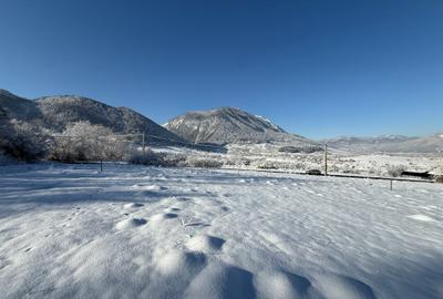 Teren intravilan 500 sau 1000 mp Bran-Tohanita la dum asfaltat - 19