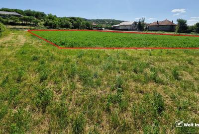 Teren intravilan 2000 mp – Popesti (Baciu) Ideal pentru casă, grădină și livada - 4