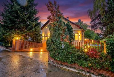 Vila Iancu Nicolae – între Grădina Zoo și Jolie Ville | Liniște, spațiu și confo - 1