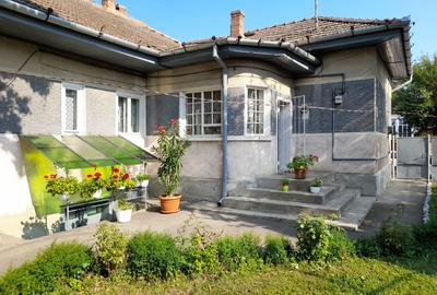 Vand  pe Gh.Doja casa cu 4 camere,917 mp teren - 7