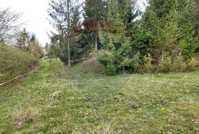 Poienita 2800mp, Covasna, zona hotel Clermont, inconjurat de padure - 22