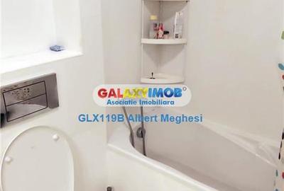 Inchiriere Apartament 3 camere Delea Veche - 9