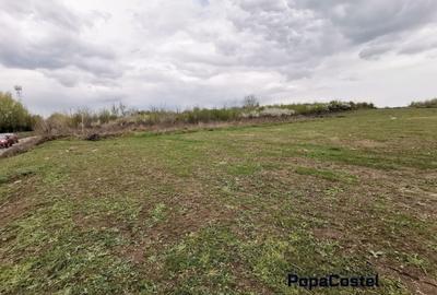 Sisesti str.Dirijorului (in capatul str.Al.Bratu) 1000 mp deschidere 18,27 ml - 4