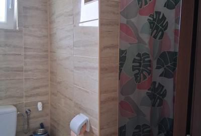 Sanmihaiul Roman - Casa individuala cu 3 dormitoare, complet mobilata si utilata - 12