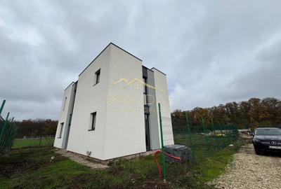 Vila balotesti - 9