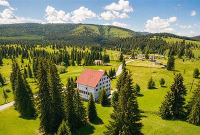 Complex montan 1.124 mp, Toplita Secu, investitie: turistica /retreat, cadru val - 4