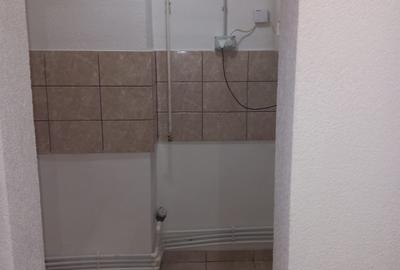 Apartament 2 camere, parter,recent renovat - 7