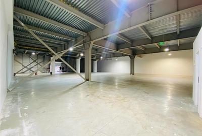 Hale Calea Chisinaului Iasi, aproape de Carrefour de la 65mp la 2000mp - 18