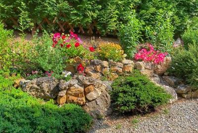 Raritate| Proprietate de vis pe 6 ha intravilan  de vanzare in Pestera Brasov - 18