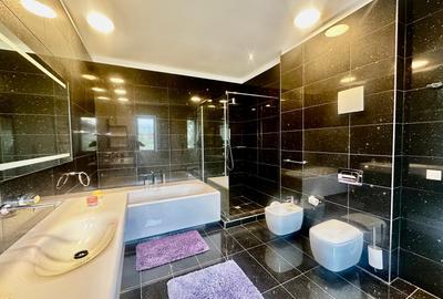 Vila moderna de vanzare 6 camere Iancu Nicolae - Mark Twain, Bucuresti 450 mp - 7